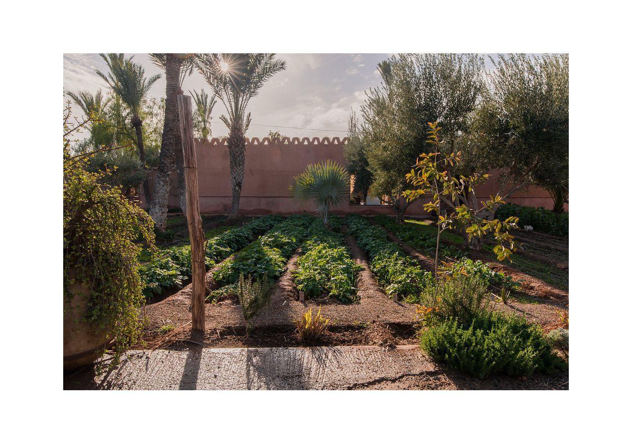 Villa 55 Marrakech Marrakesh Exteriör bild